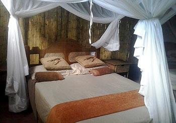 'Old Africa' living with Safari Landia 'Old Africa' living with Safari Landia